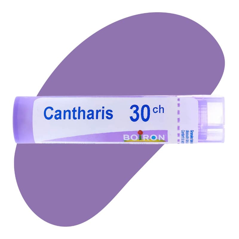 Cantharis
