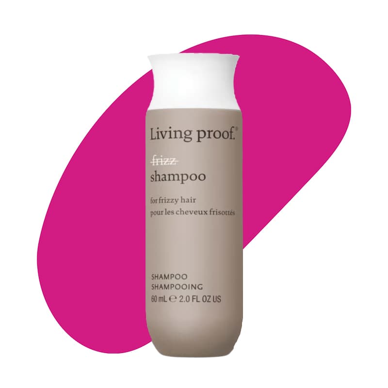 No Frizz Shampoo