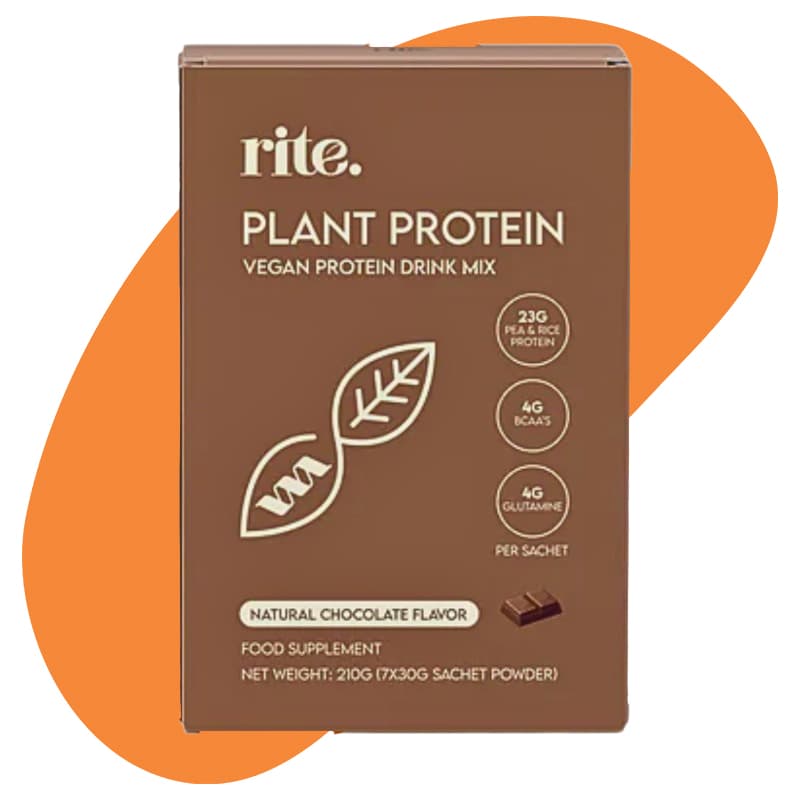 Plant Protein – Chocolate